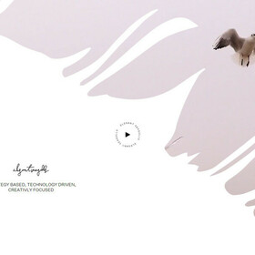 Elegant Seagulls Agency Site