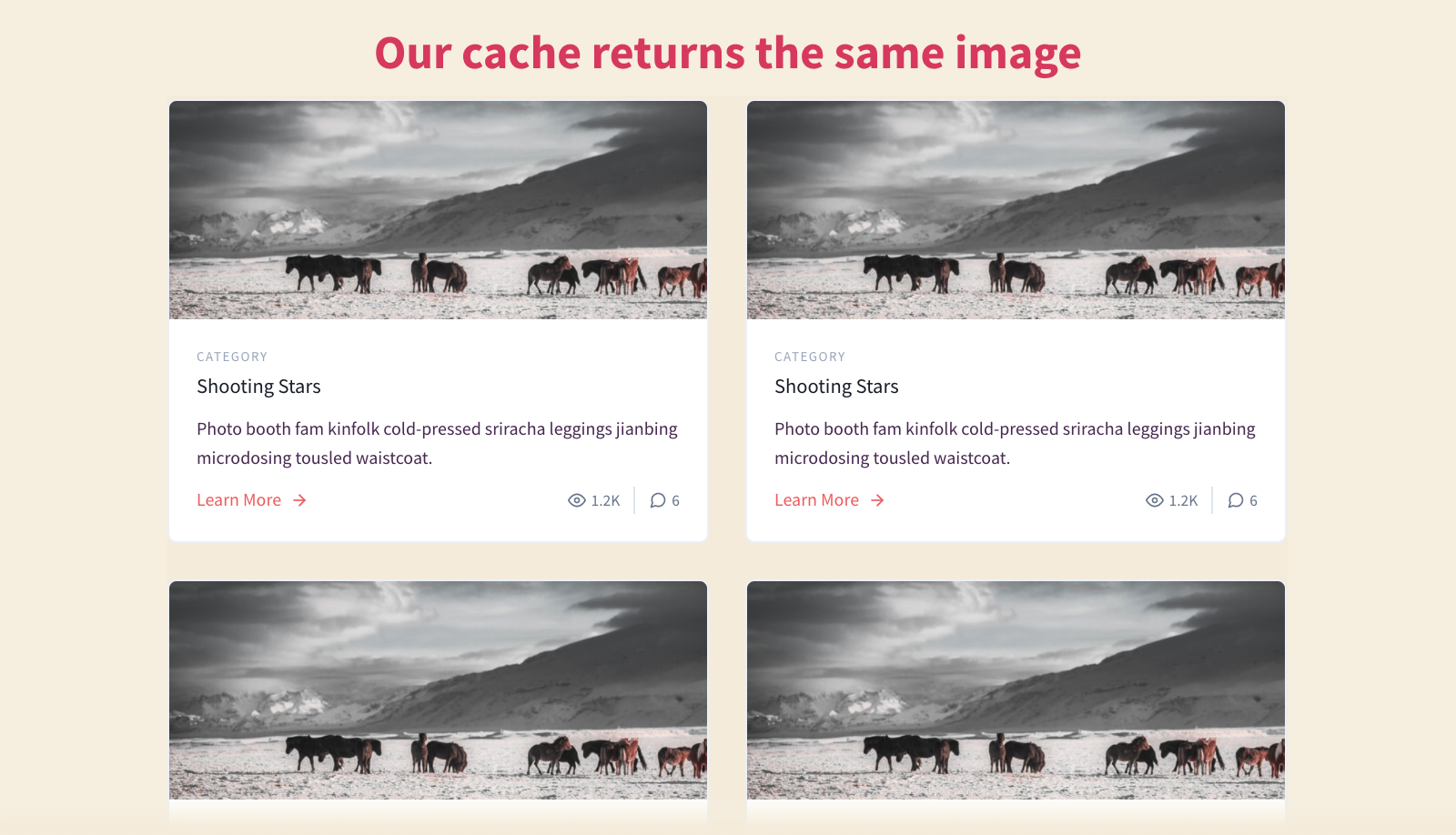 Showing four identical images on blog posts
